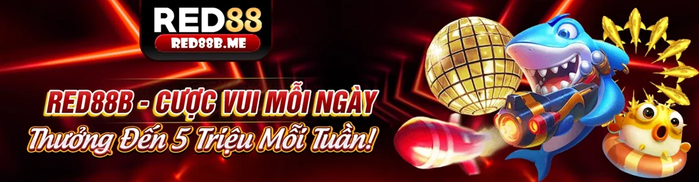 Chính sách bảo mật và an toàn thông tin tại nhà cái dn88